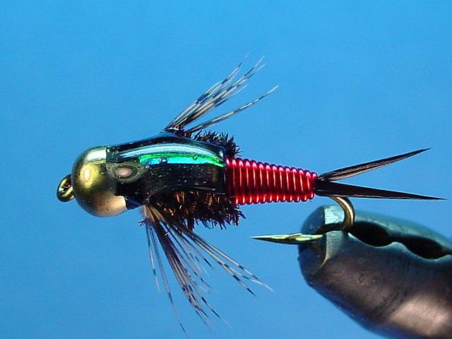 Go-To Flies for Winter Tailwaters - Angler's Covey