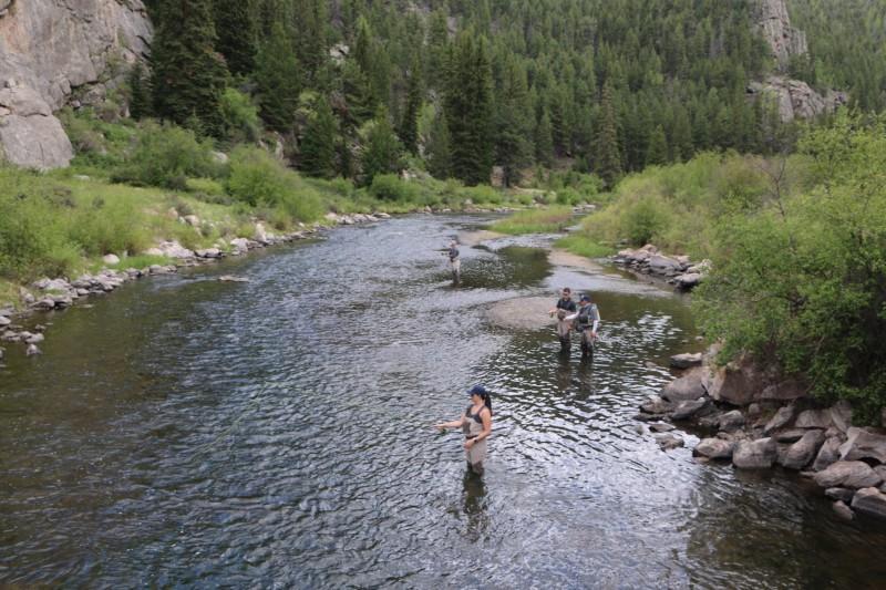 Four anglers cast their lines into the South Platte River