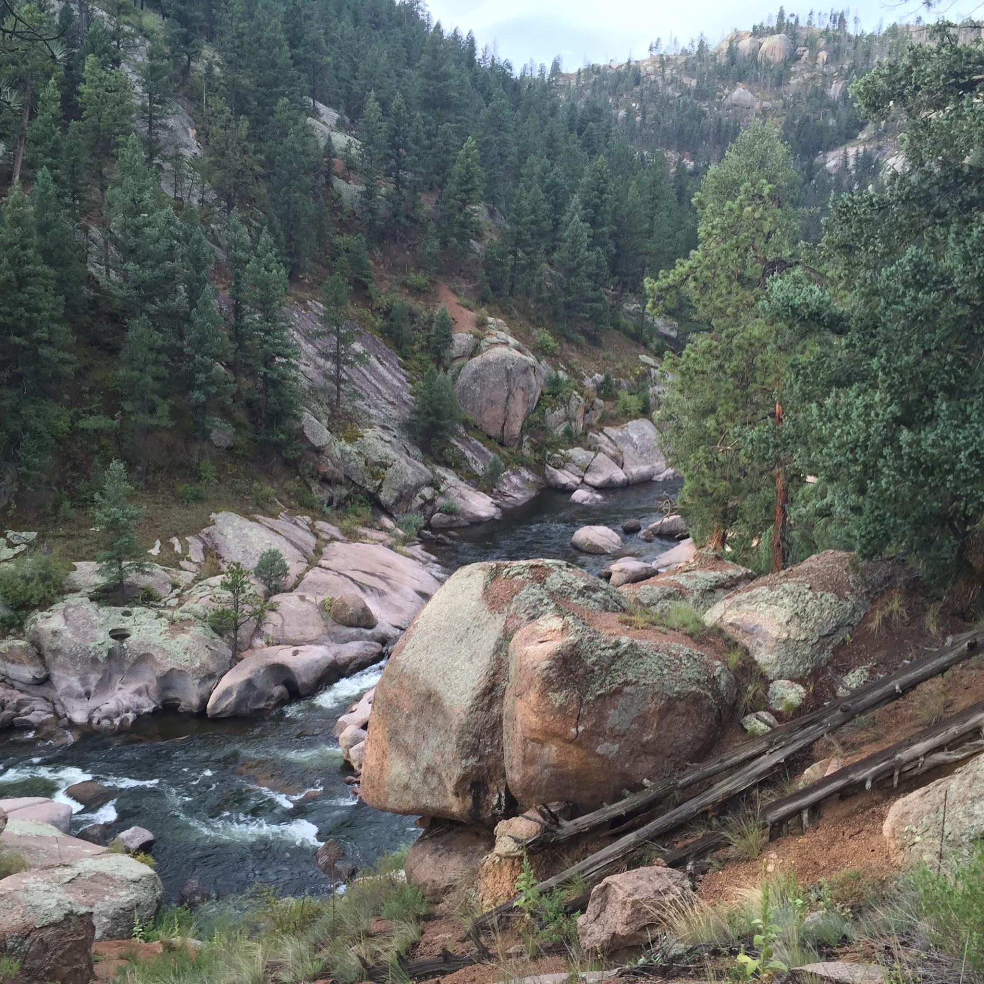 South Platte River (Cheesman Canyon) - Angler's Covey