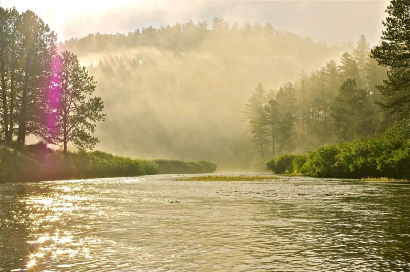 The South Platte River looks picturesque in the early morning sun