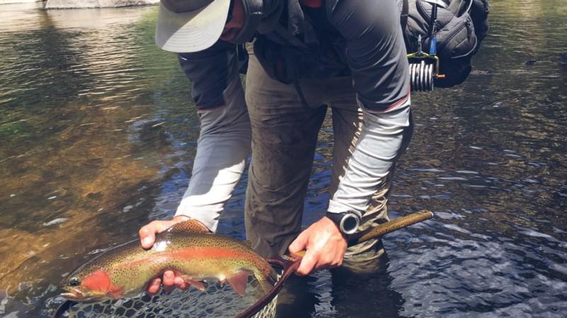 Learn to Fish, Lessons & Classes, Bryson City Fly Fishing